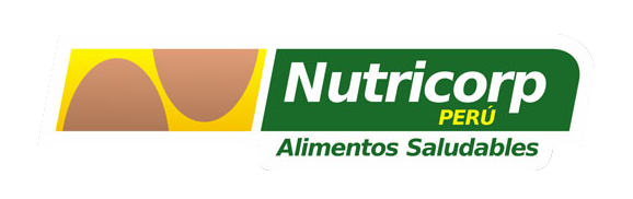 Projeto b.e.n